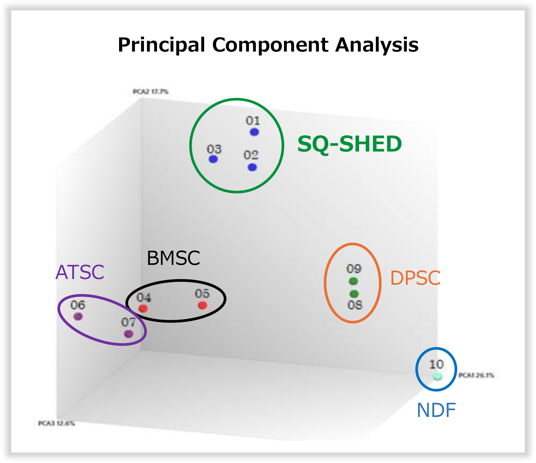 Microarray Study